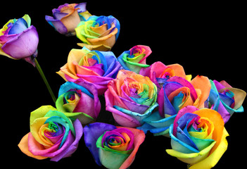 Rainbow roses - Powered by Adobe