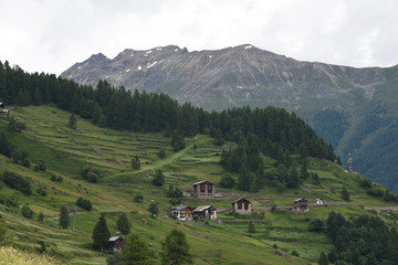 paesaggio di montagna baite chalet alberi bosco