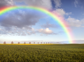 Spring colorful rainbow over the field 