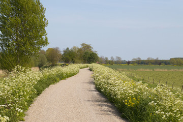 Landscape with bicycle path and grassland