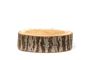 Cross section of tree trunk on white background