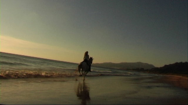Woman on horse at seashore, riding through surf