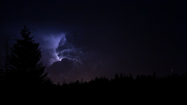 stormy sky with flashes of lightning in the forest 