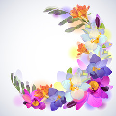 Greeting square background with freesia flowers