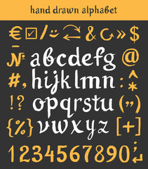 Fototapeta na wymiar Hand drawn alphabet and letters numbers brush