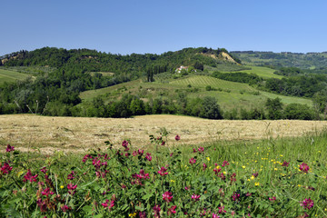 Spring landscape. Tuscany, Italy