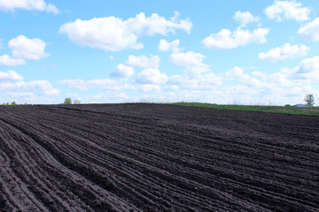 plowed land ready for planting potato in the village