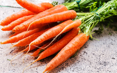 fresh carrots