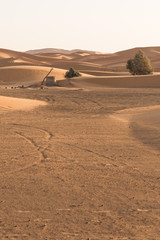 Fototapeta na wymiar The old well in Sahara desert for groundwater