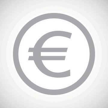 Grey euro sign icon