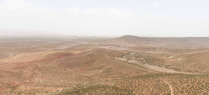 The panorama view of mountain and small tree