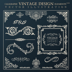 Calligraphic design elements vintage ornament. Vector frame deco