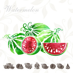 Watermelon set. Watercolor watermelons and watermelon icons set