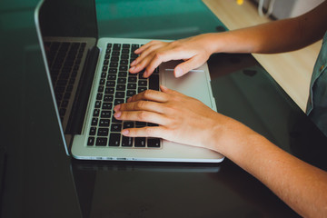 Fototapeta na wymiar Female hands typing, businesswoman using laptop