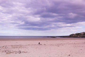 Beach with beautiful sky, Scotland