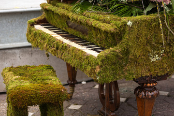 Old piano dress in green moss and flowers