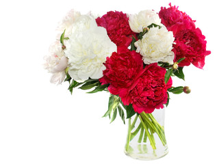 Three peonies flower isolated on white 