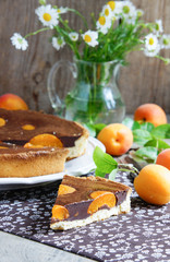 Obraz na płótnie Canvas cake with chocolate and apricots