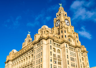 Fototapeta na wymiar The Royal Liver Building in Liverpool - England