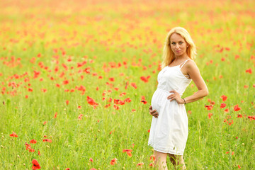 Naklejka na ściany i meble happy pregnant woman in poppie field