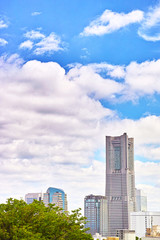 Fototapeta premium 横浜の風景