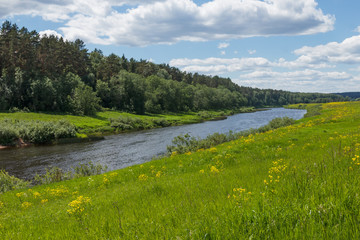 Fototapeta na wymiar Summer landscape with a river on a sunny day