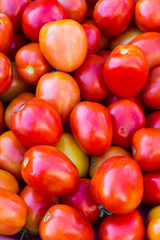 Many red tomatoes