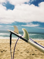 surfboard on the beach in california