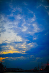 夕暮れのベルゲン港と空を行く飛行機