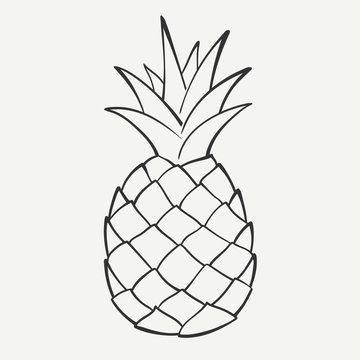 Outline black and white image of a pineapple. Vector Graphics.
