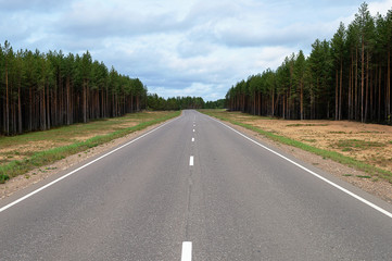 Asphalt road through the forest