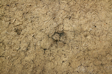 Crack clay texture
