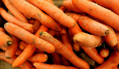 Carrot texture background