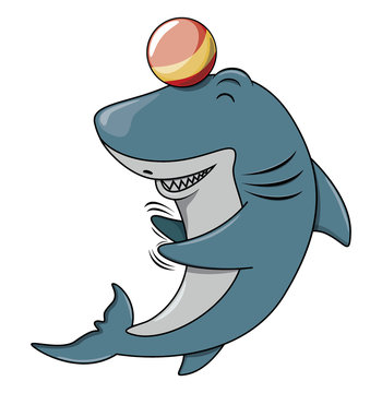 Shark playing ball