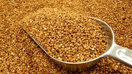 Iron scoop in buckwheat groats closeup