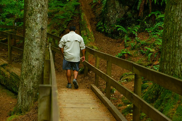 Obraz na płótnie Canvas Man Walking Along Scenic Trail