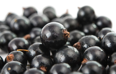 currants