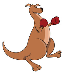 Kangaroo boxer