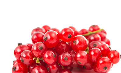 currants