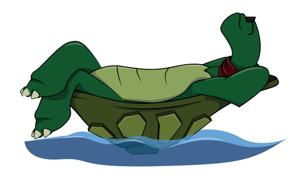 Enjoy Turtle cartoon illustration