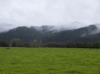 Countryside