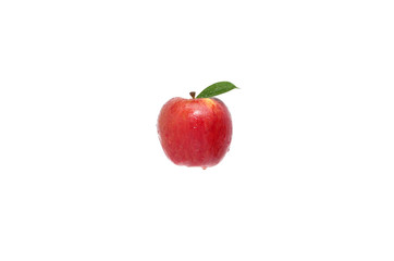 Fresh red apple fruit