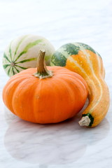 organic summer squash