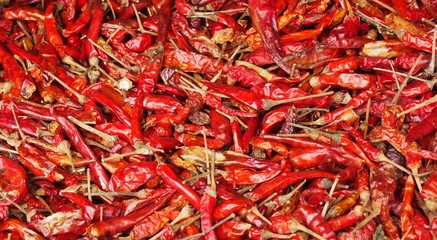 background of dried chilli.