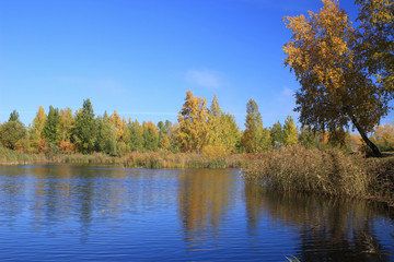 Autumn landscape - pond in the park