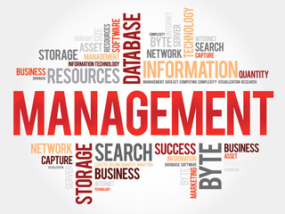 Management word cloud, business concept