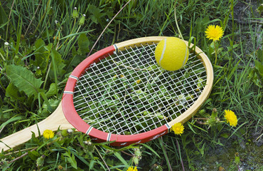  	  Tennis racket and ball on the grass and the dandelions.