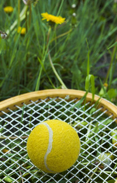  	  Yellow tennis ball is on the racket in the grass.