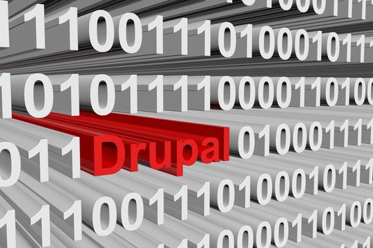 binary code Drupal 