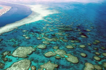Gordijnen Luchtfoto Great Barrier Reef Australië-4 © norinori303